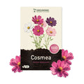 COSMEA Mix bianco, rosa e fucsia, 1000 semi, altezza 80-120cm