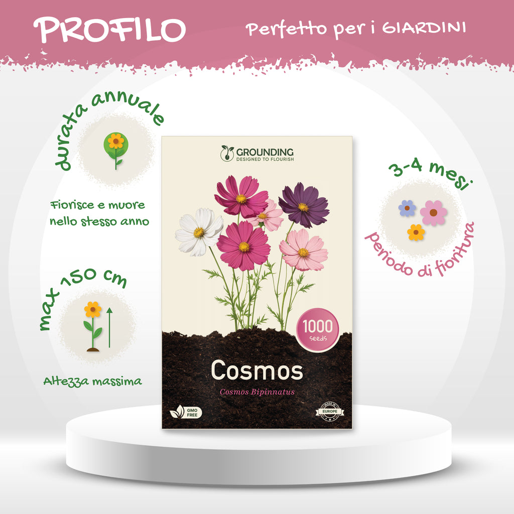 COSMEA Mix bianco, rosa e fucsia, 1000 semi, altezza 80-120cm