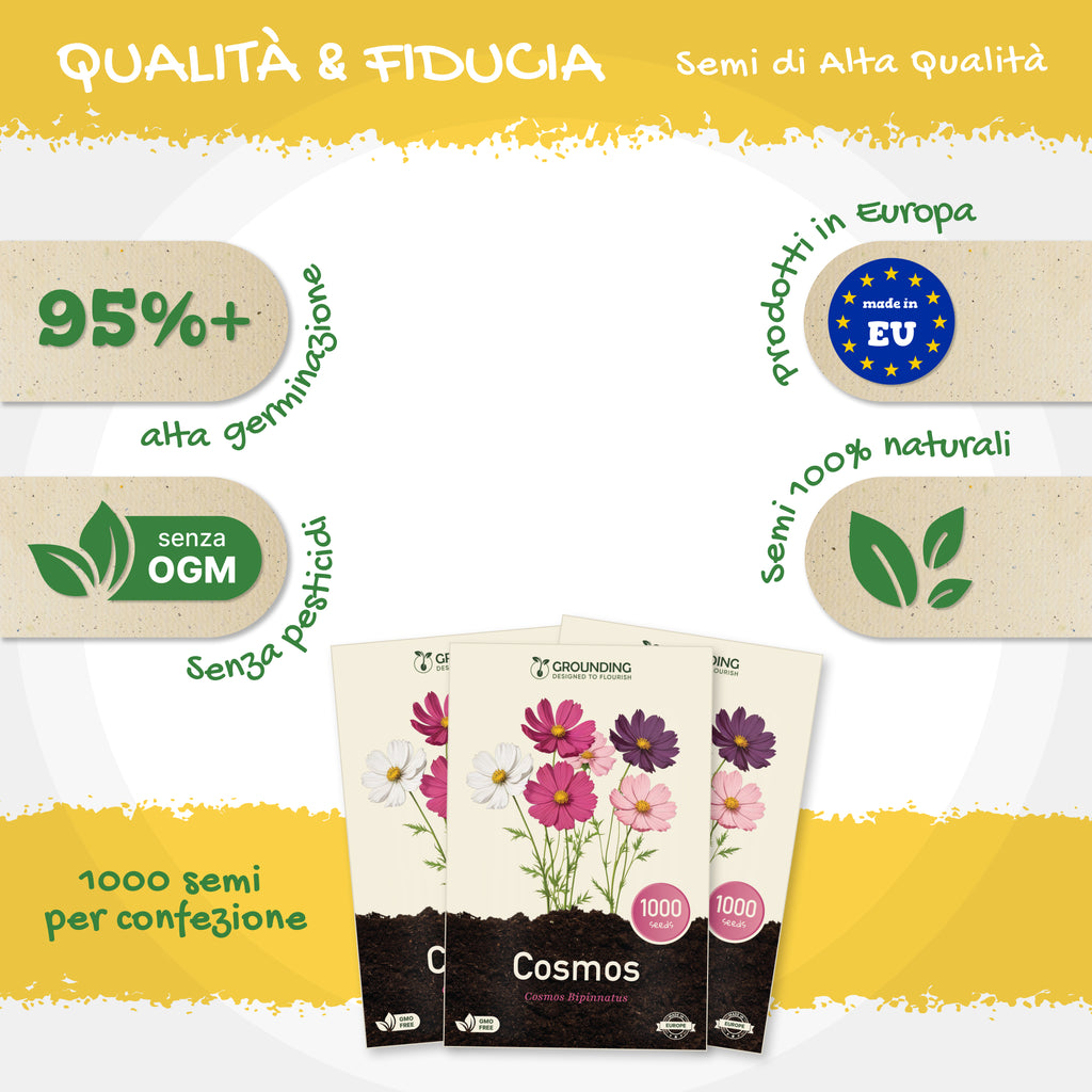 COSMEA Mix bianco, rosa e fucsia, 1000 semi, altezza 80-120cm