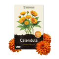 CALENDULA mix arancio e giallo, 500+ semi, altezza 30 cm