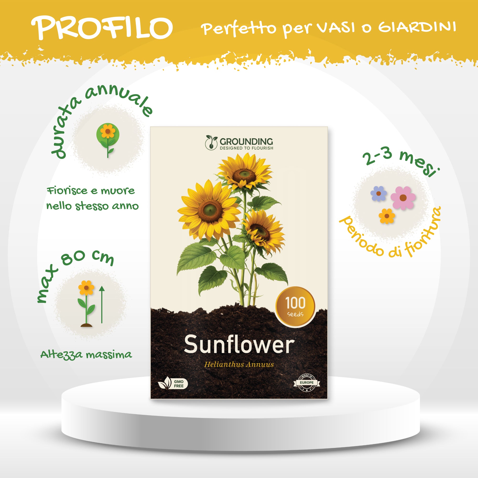 GIRASOLE NANO Giallo dorato, 100 semi, altezza 40–60 cm