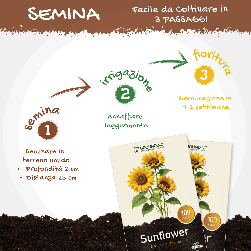 GIRASOLE NANO Giallo dorato, 100 semi, altezza 40–60 cm