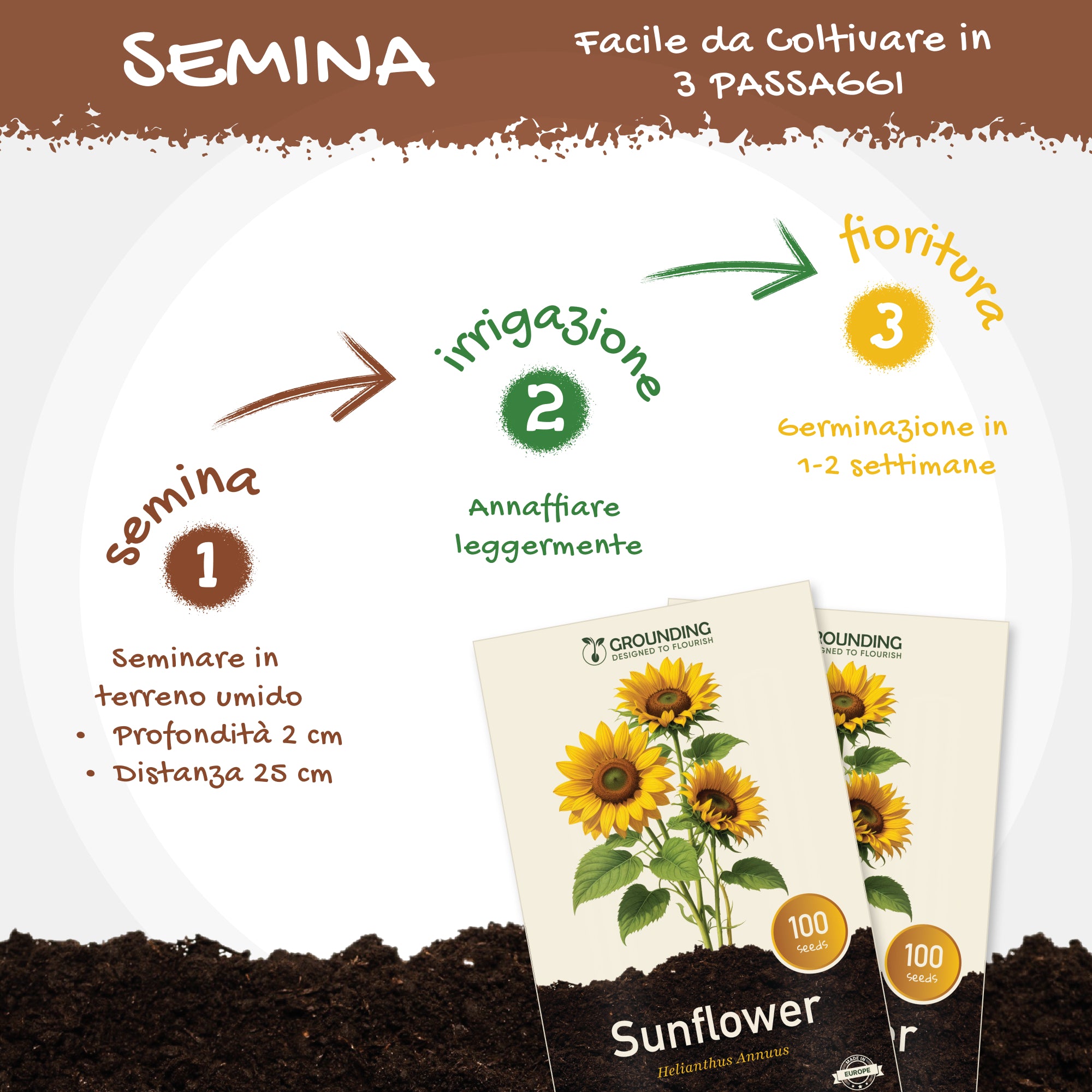 GIRASOLE NANO Giallo dorato, 100 semi, altezza 40–60 cm