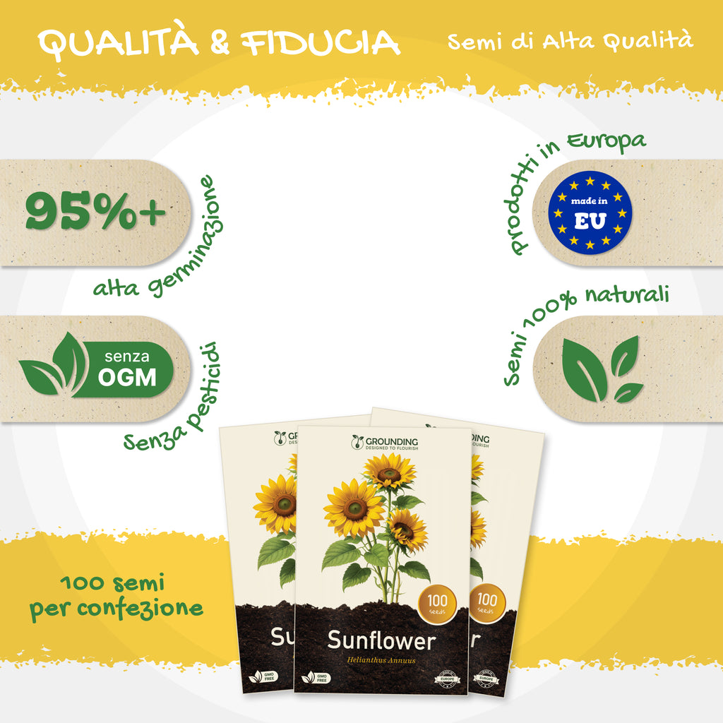 GIRASOLE NANO Giallo dorato, 100 semi, altezza 40–60 cm