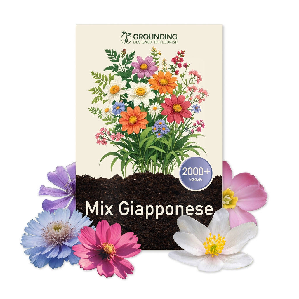 MIX PRATO FIORITO GIAPPONESE, 2000+ semi, altezza max 30cm