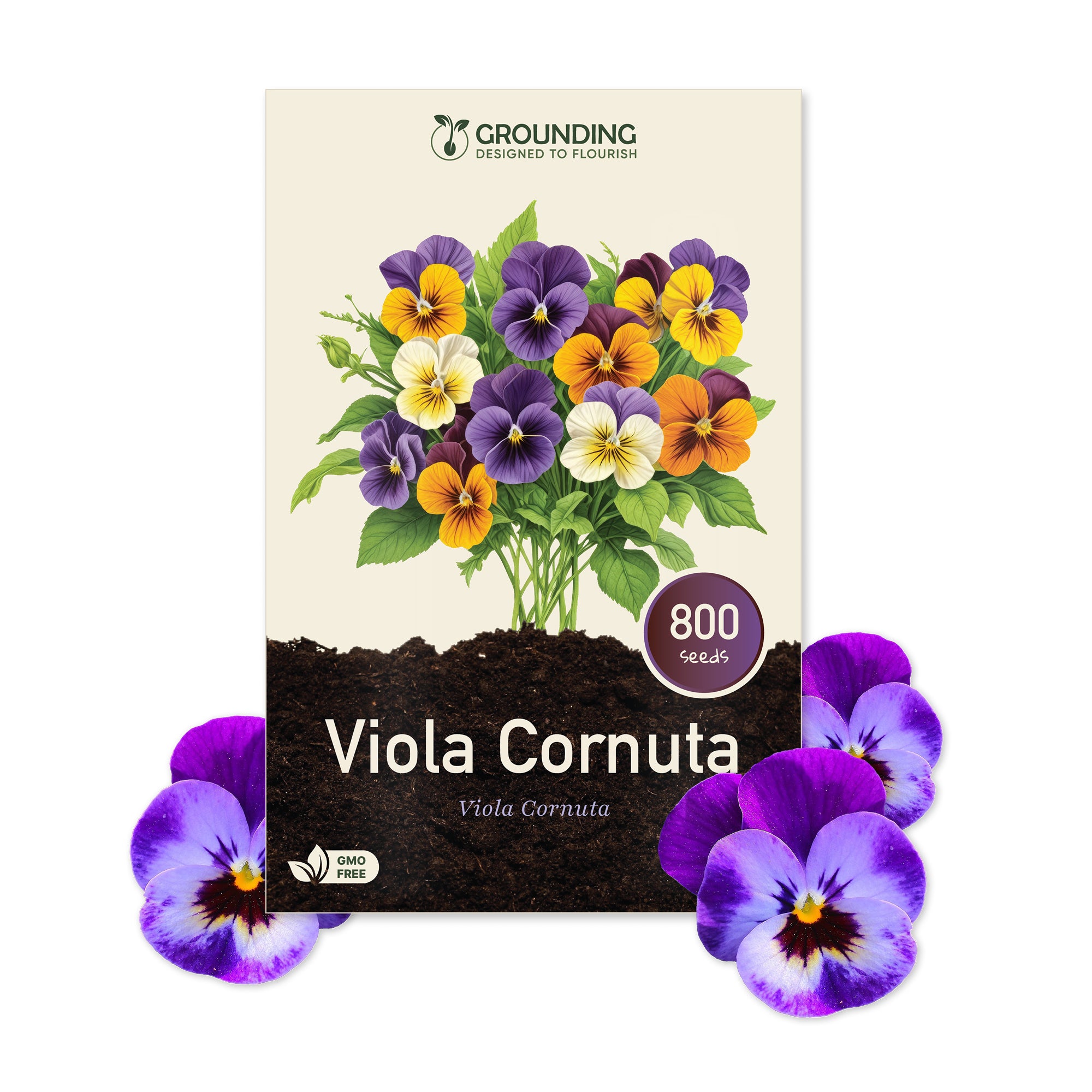 VIOLA CORNUTA - mix colori viola, blu, giallo e bianco, 800+ semi, altezza 15–20 cm