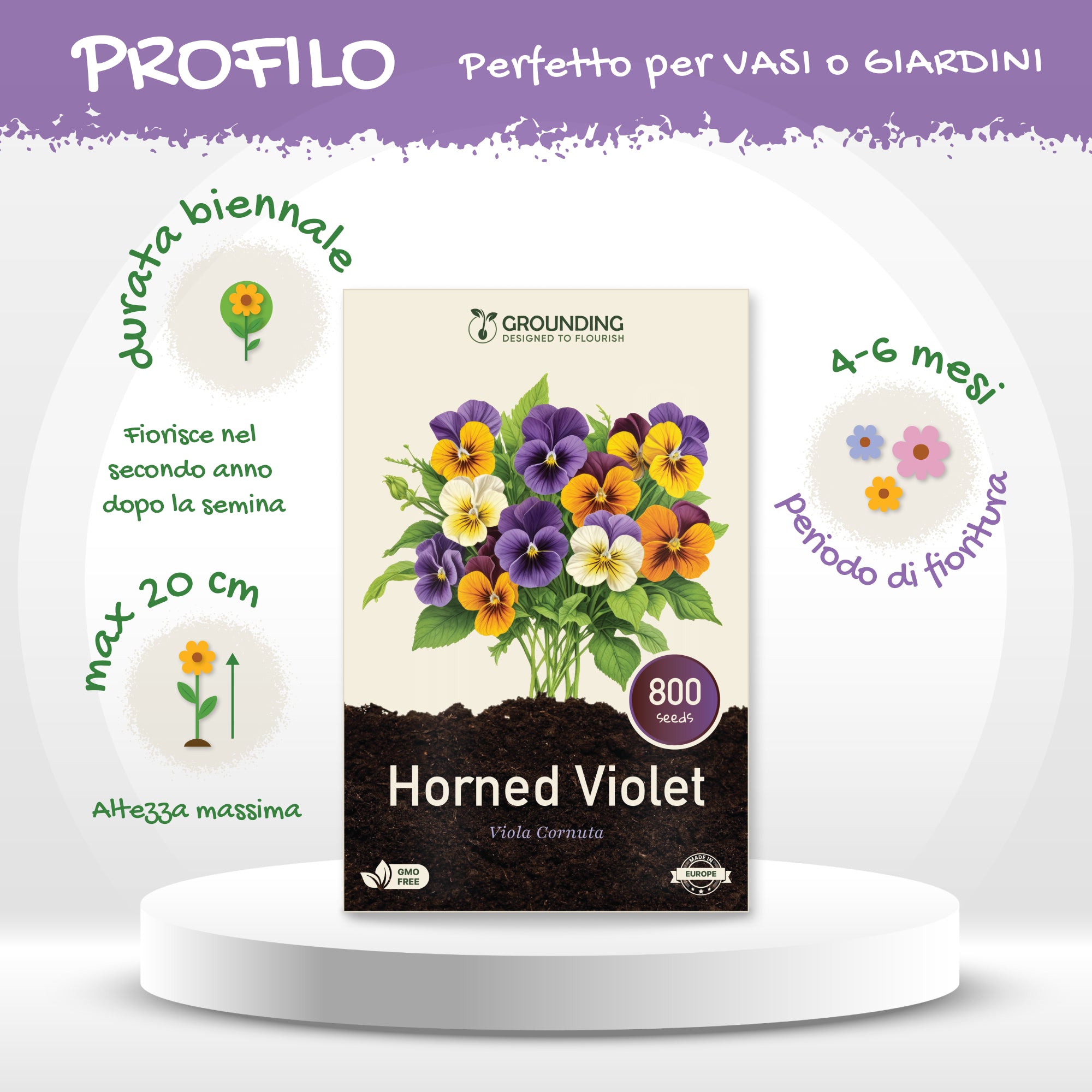 VIOLA CORNUTA - mix colori viola, blu, giallo e bianco, 800+ semi, altezza 15–20 cm
