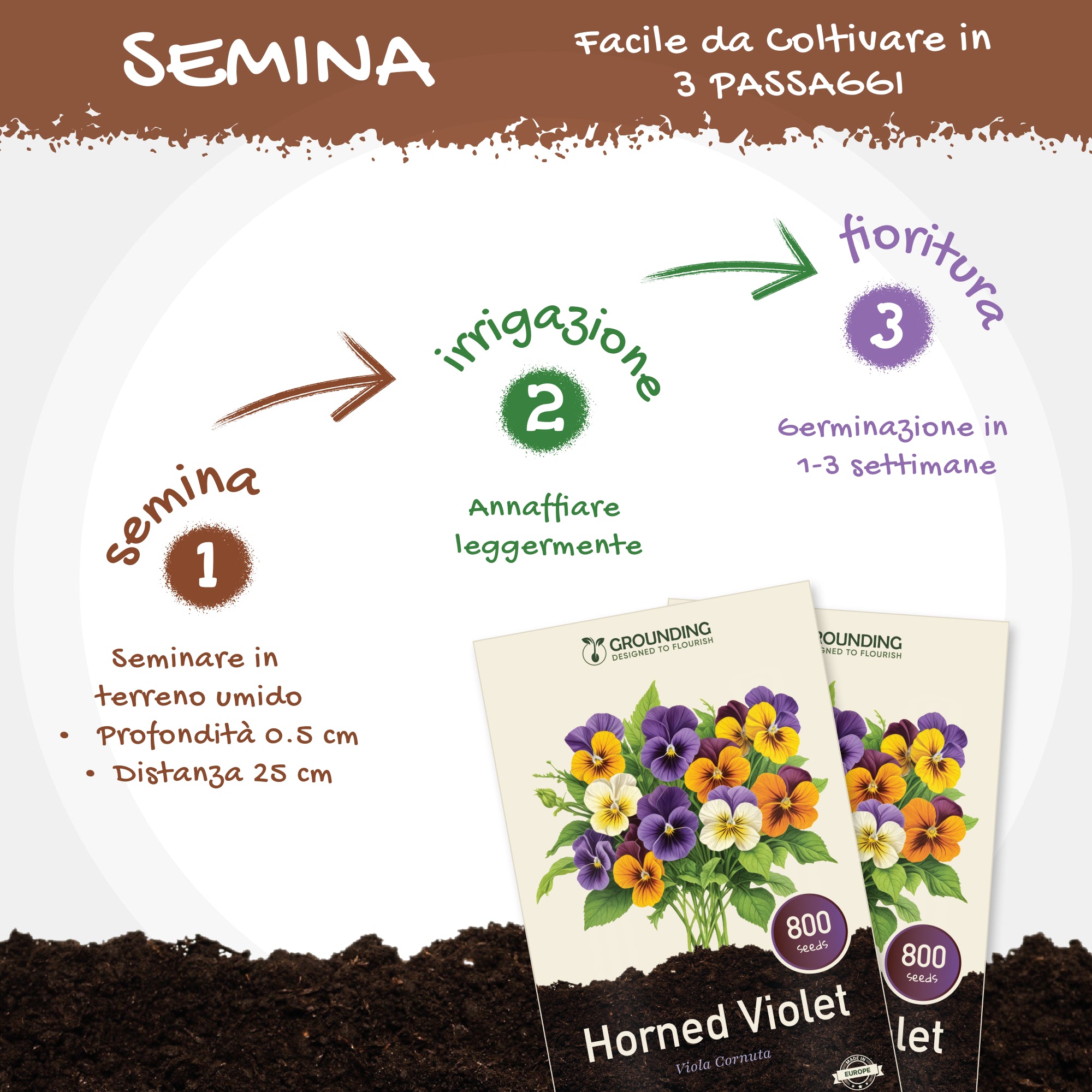 VIOLA CORNUTA - mix colori viola, blu, giallo e bianco, 800+ semi, altezza 15–20 cm
