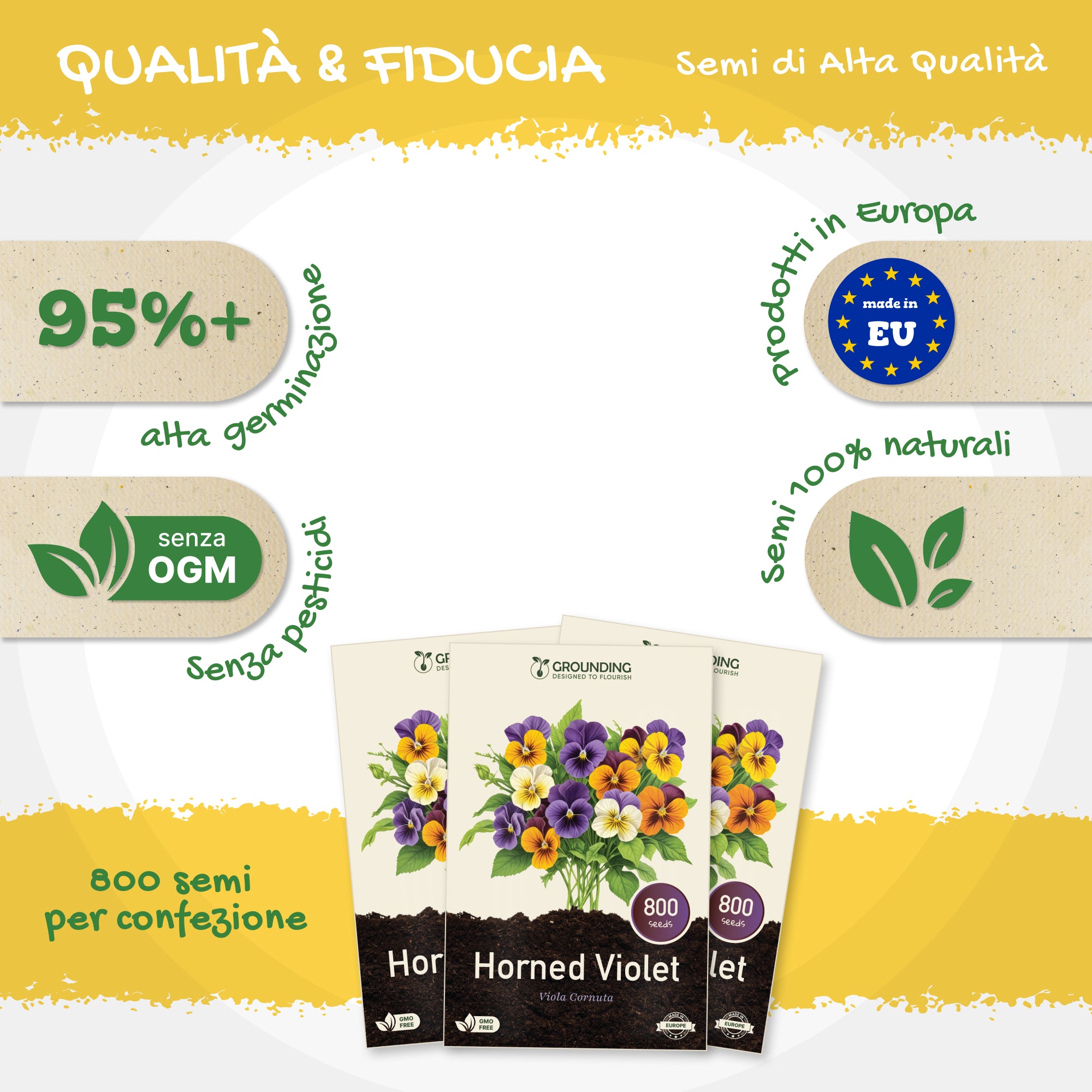 VIOLA CORNUTA - mix colori viola, blu, giallo e bianco, 800+ semi, altezza 15–20 cm
