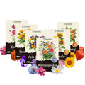 GIARDINO COMPLETO (Esperto) – 6 Varietà di Semi per Aiuole e Giardino