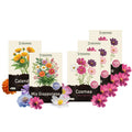 KIT GIARDINO DI COSMEE – 3 Cosmea + Calendula e Prato Fiorito