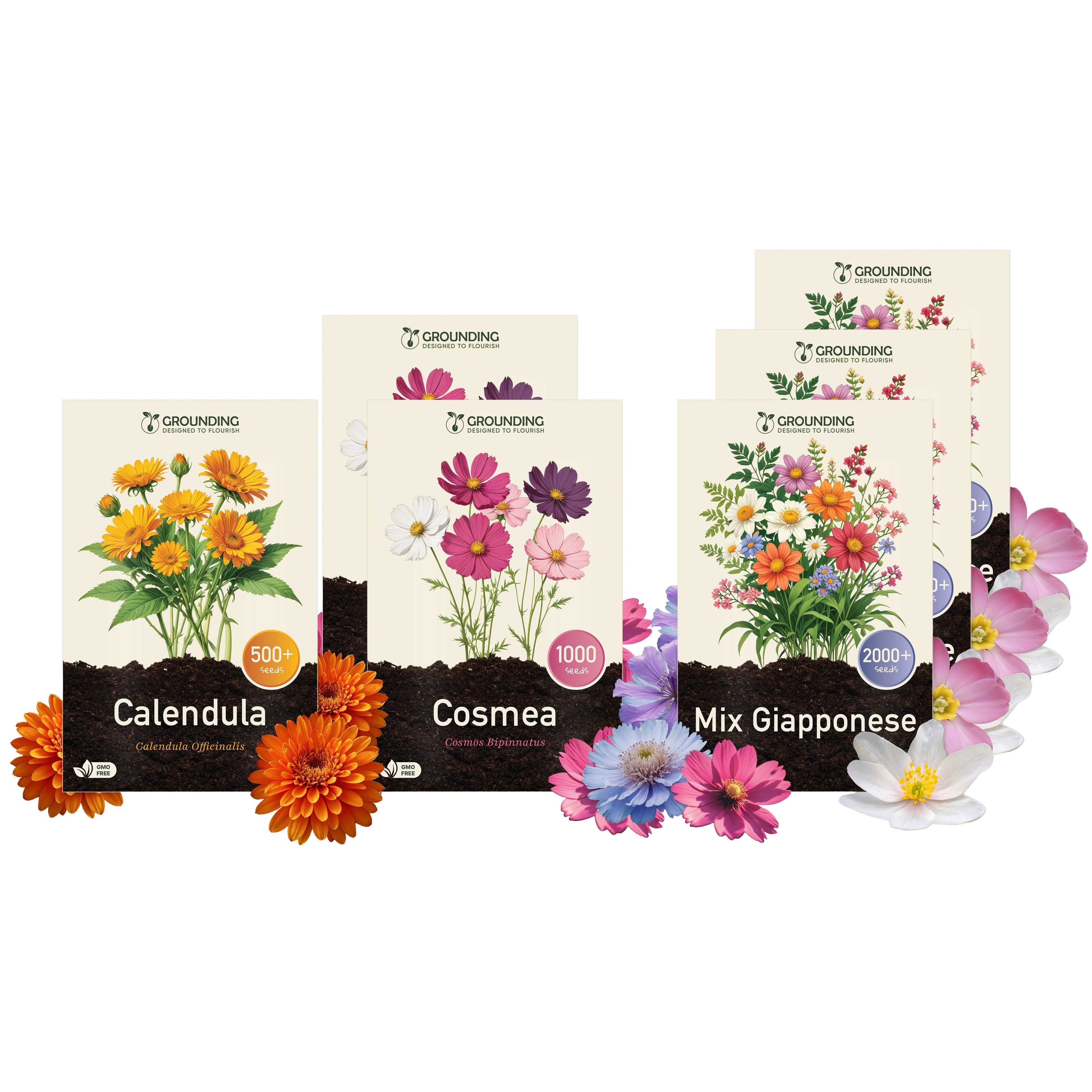 KIT GIARDINO PER API XL – 3 Prato Fiorito + 2 Cosmea + Calendula