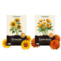 KIT CRESCITA VELOCE – Semi di Calendula e Girasole Nano