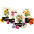 KIT GIARDINO COLORATO – Semi di Cosmea, Calendula, Girasole e Prato Fiorito