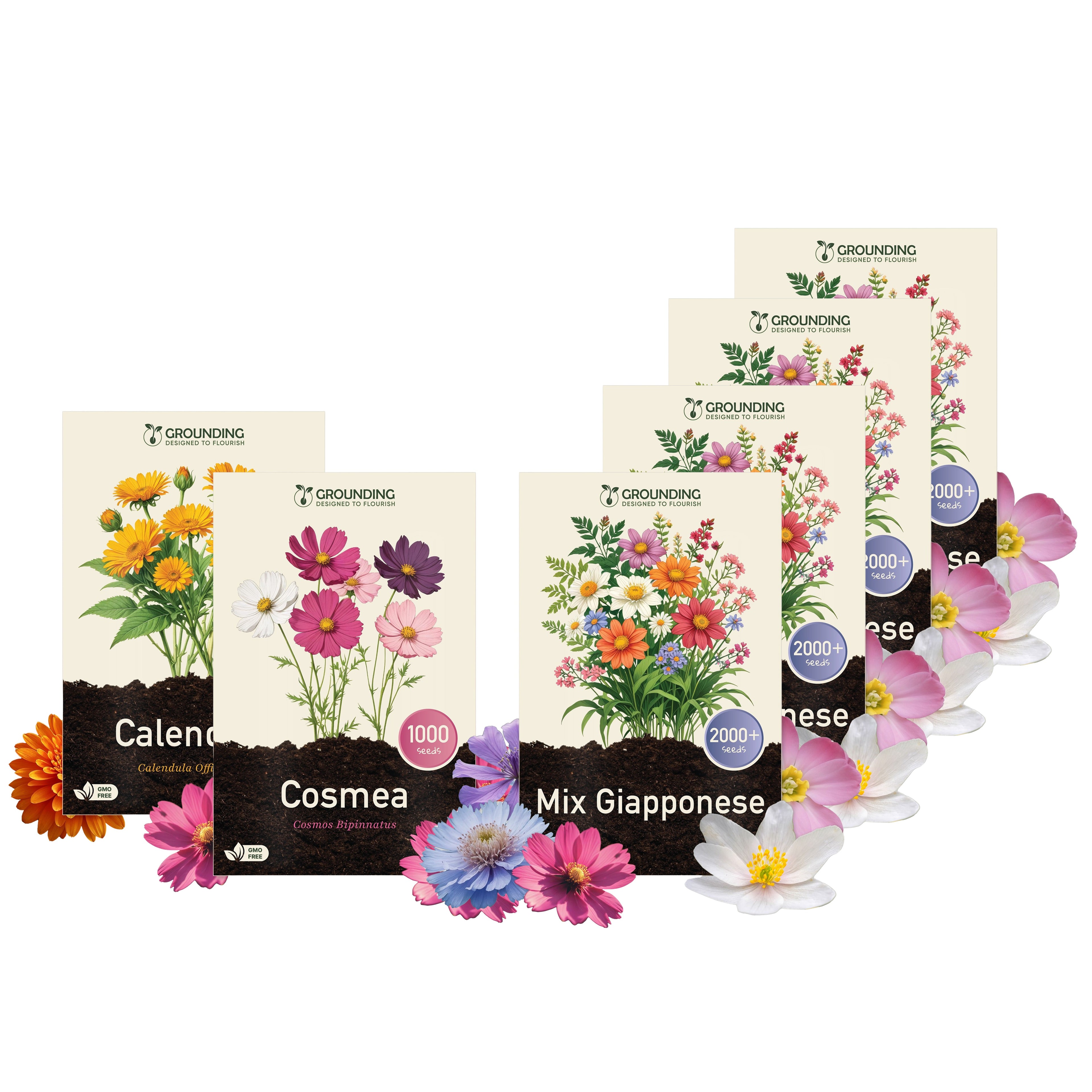 KIT PRATO FIORITO XL – 4 Mix Prato Fiorito + Cosmea e Calendula