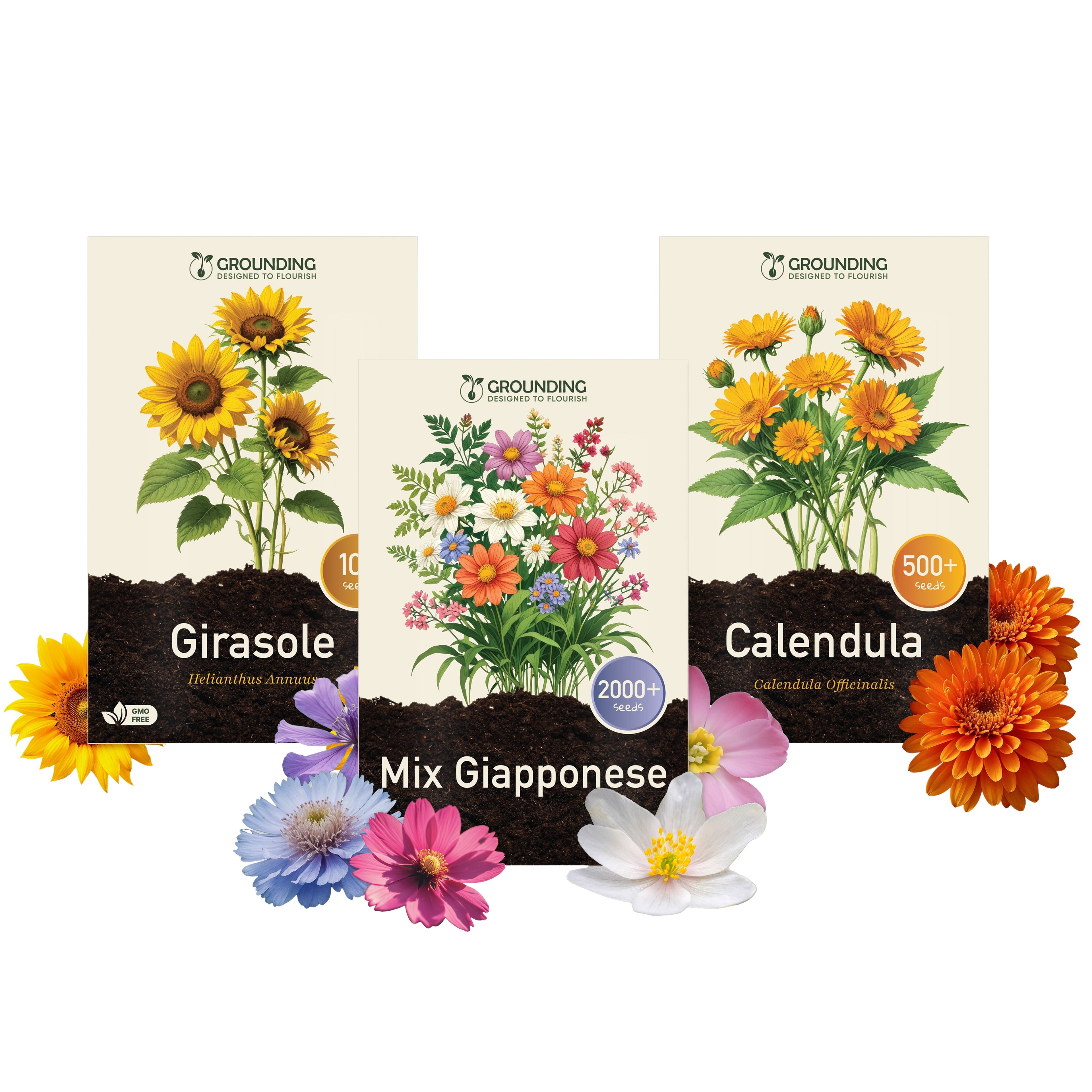 KIT PRIMO GIARDINO (Principianti) - Calendula, Girasole e Prato Fiorito